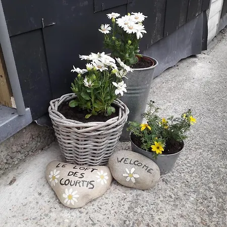 Le Loft Des Courtis